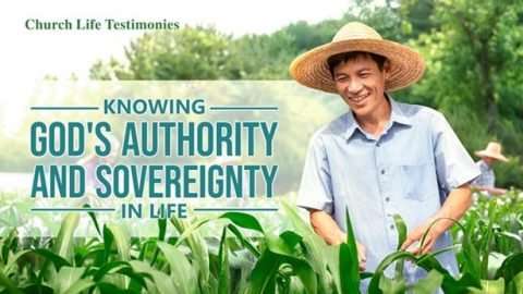 Knowing God’s Authority and Sovereignty in Life