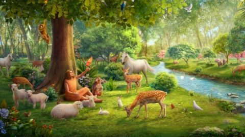 The Story of Genesis: What Was God’s Will Behind Adam Naming the Animals?