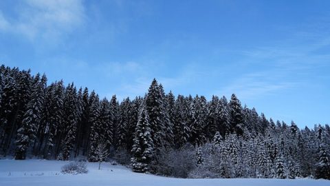 Persecuation and Adversity Helped Me to Grow Up