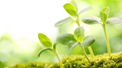 A Letter to a Sister in the Lord: How to Be Honest Toward God