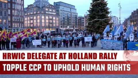 HRWIC Delegate at Holland Rally: Topple CCP to Uphold Human Rights