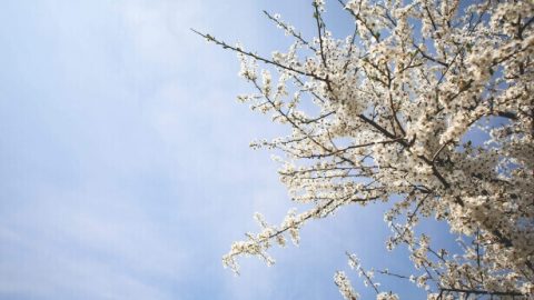 I saw God’s almightiness and sovereignty and His wonderful deeds