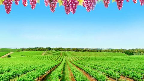 True Believer, Practice the truth, Christian life,