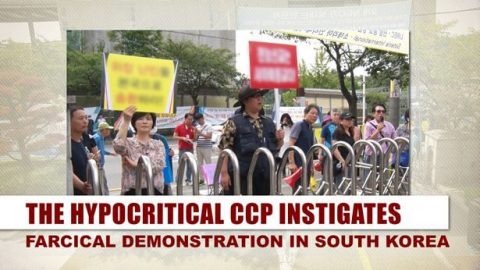The Hypocritical CCP Instigates Farcical Demonstration in South Korea
