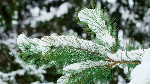 Refinement Is the Best Way for God to Perfect Man