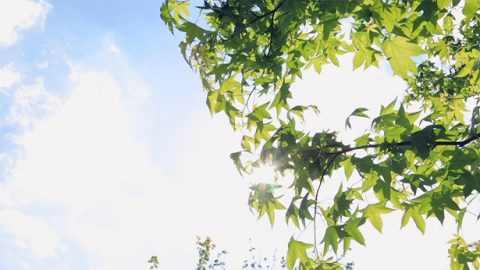 Only by Experiencing Painful Trials Can You Truly Love God